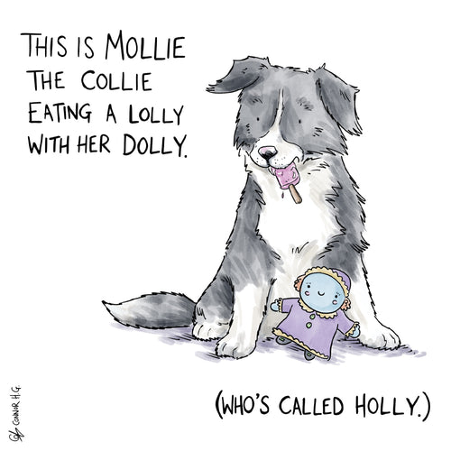 Mollie The Collie