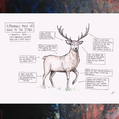 A (Probably Made Up) Guide To The Stag - A3 Print